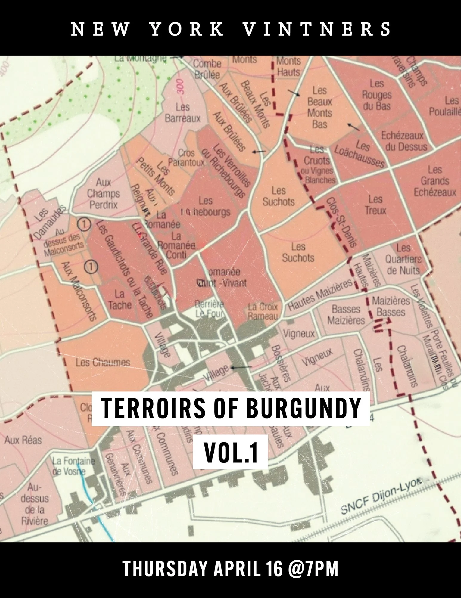 TERROIRS OF BURGUNDY.jpg