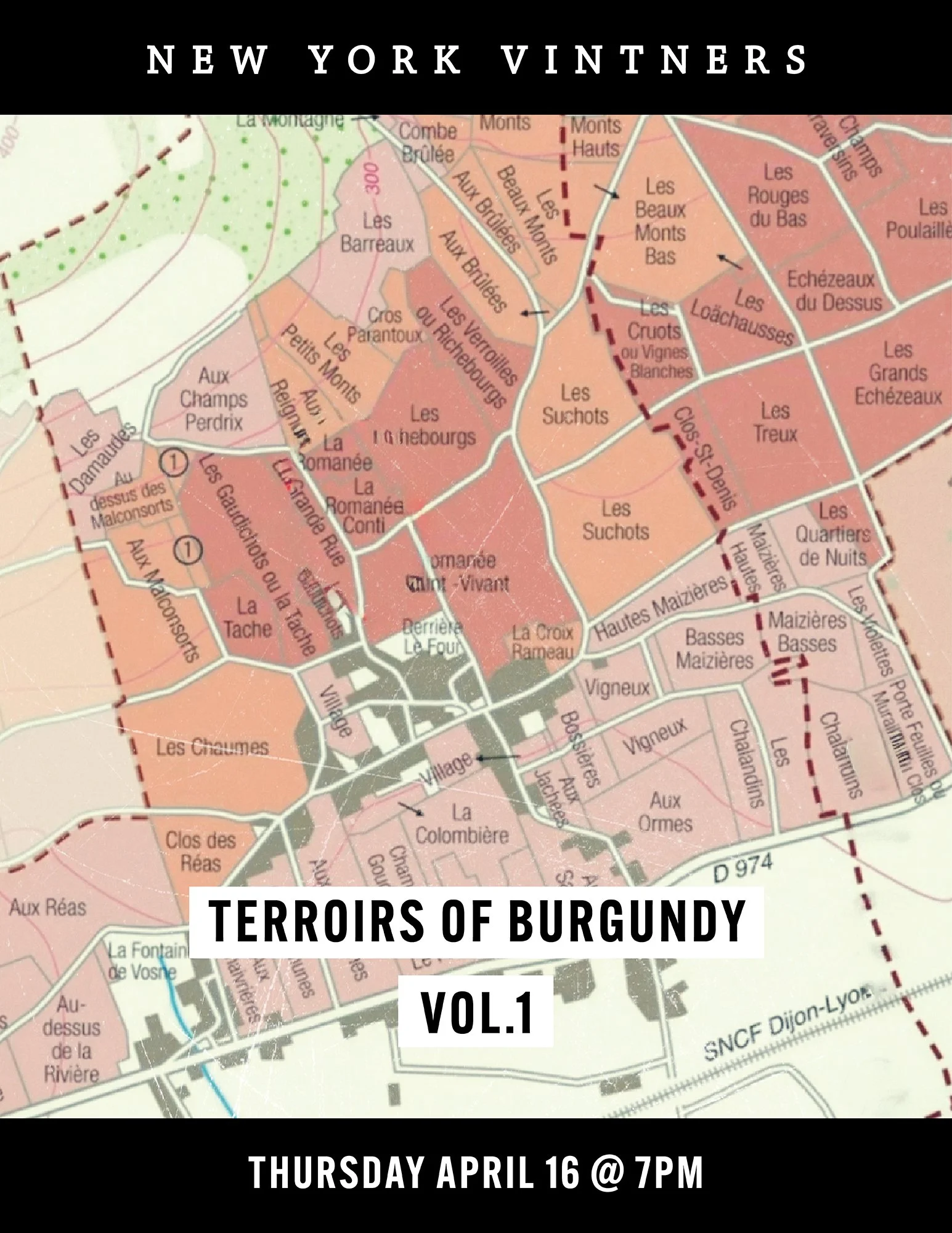 TERR BURGUNDY.jpg