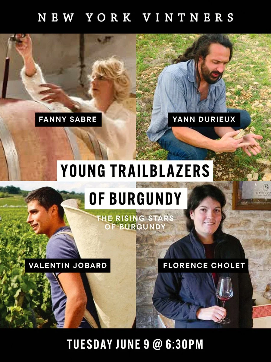 YOUNG BURGUNDY.jpg