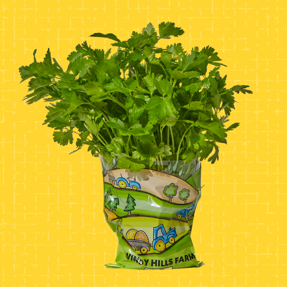 Windy Hills Farm Potted Herbs, Salad Heads & Sunflowers