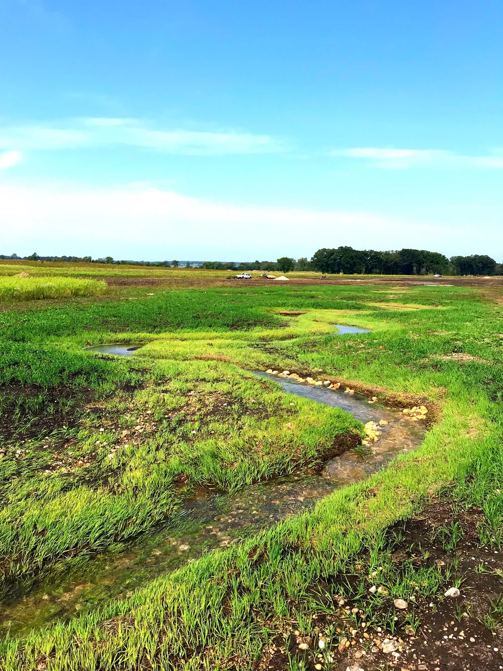 School Springs Stream Mitigation — Hey and Associates, Inc.