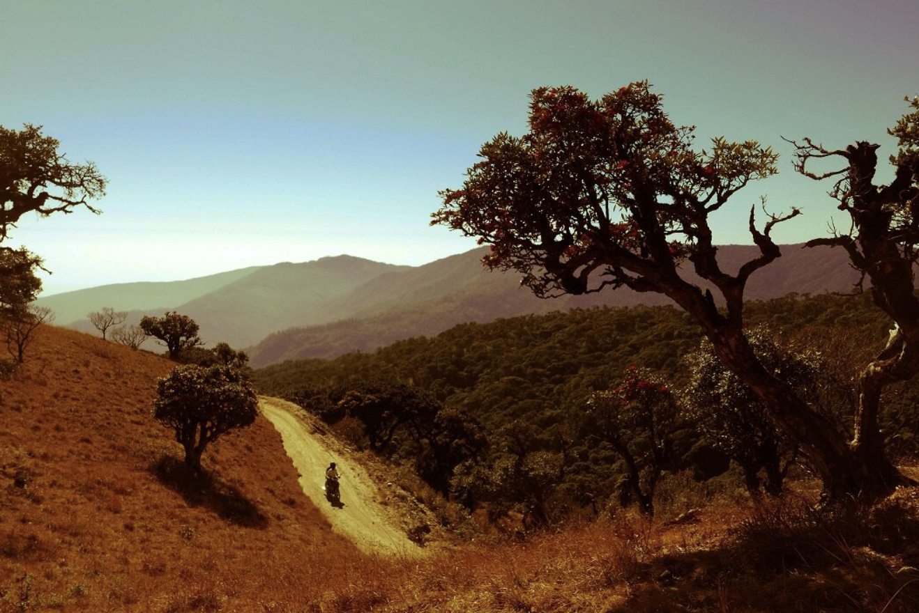 Screenshot 2024-09-15 at 18.49.06.png