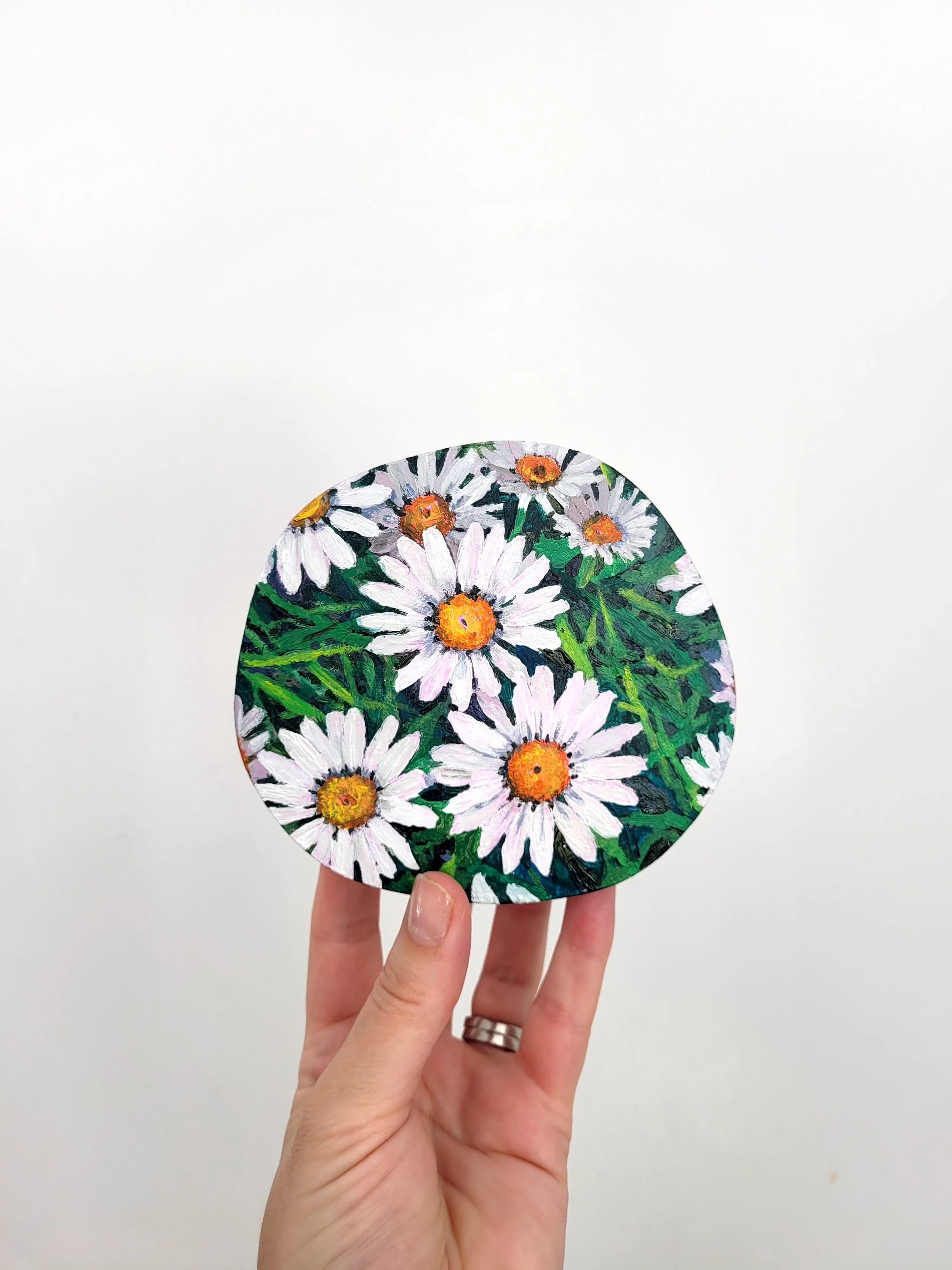 Tiny Daisies