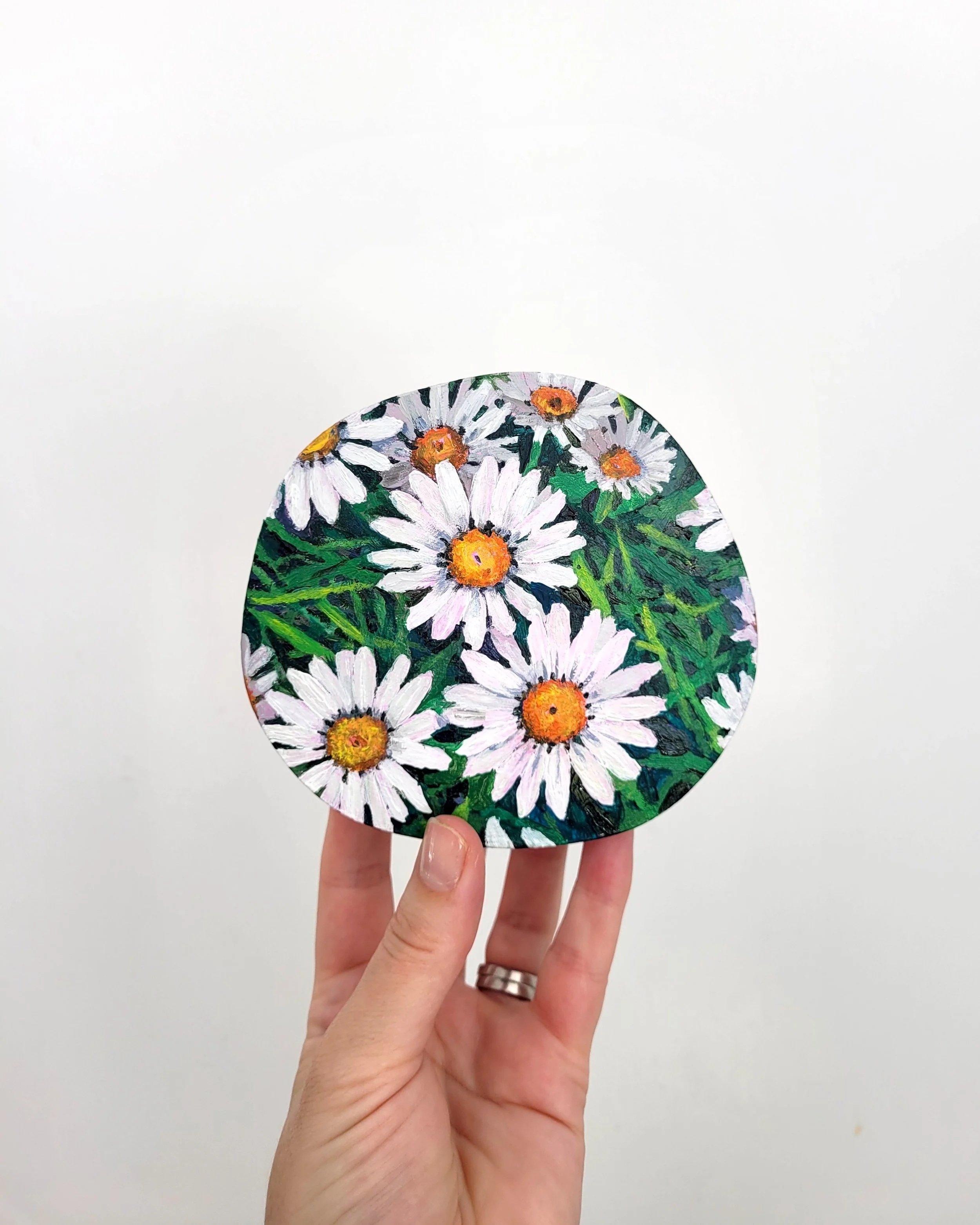 tiny-daisies.jpg