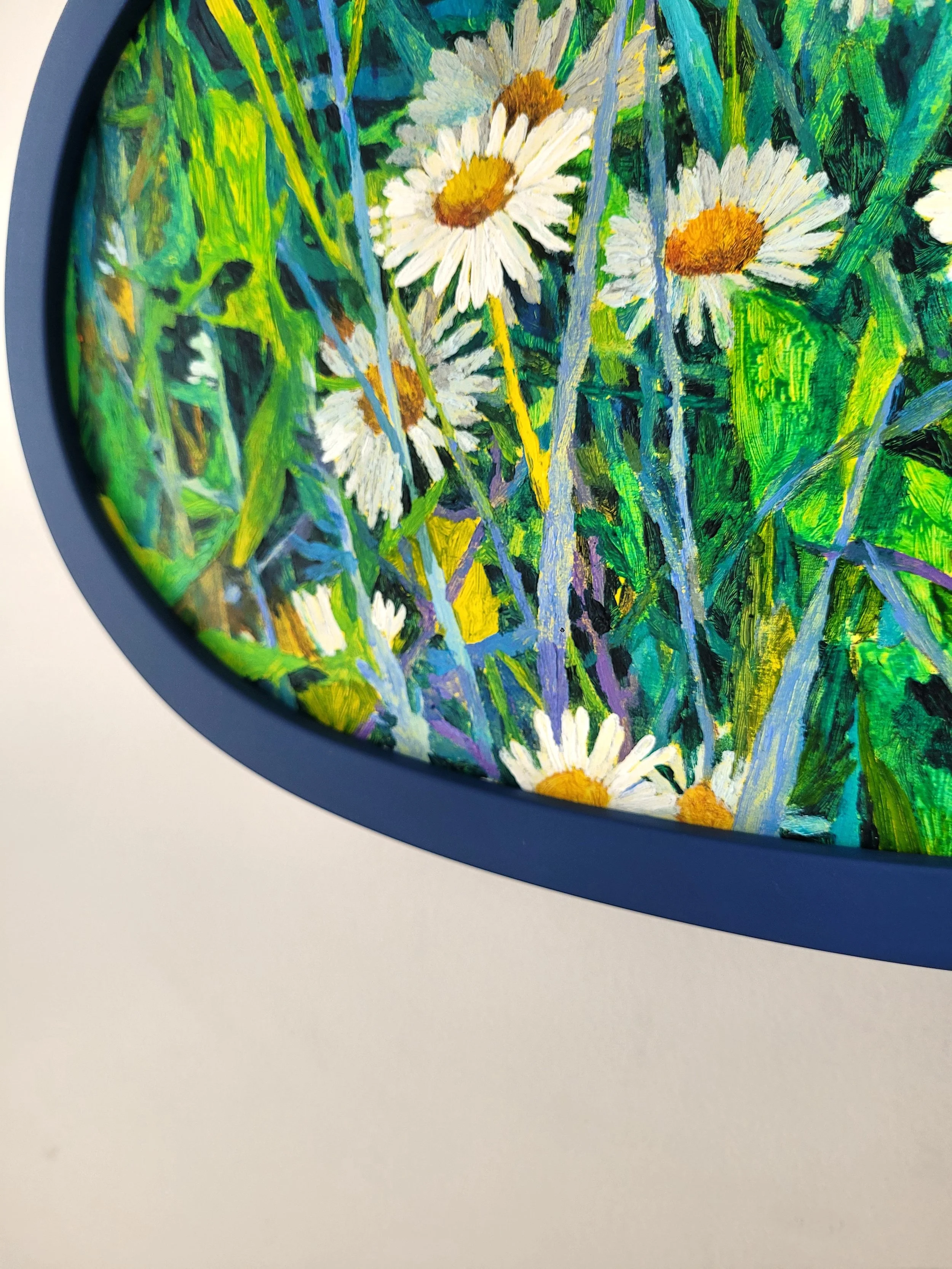 A-cluster-of-daisies02.jpg