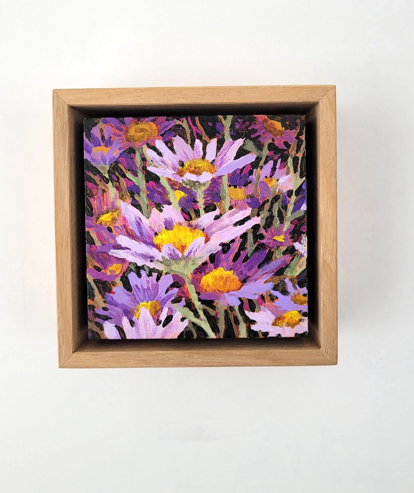 purple-daisies.jpg