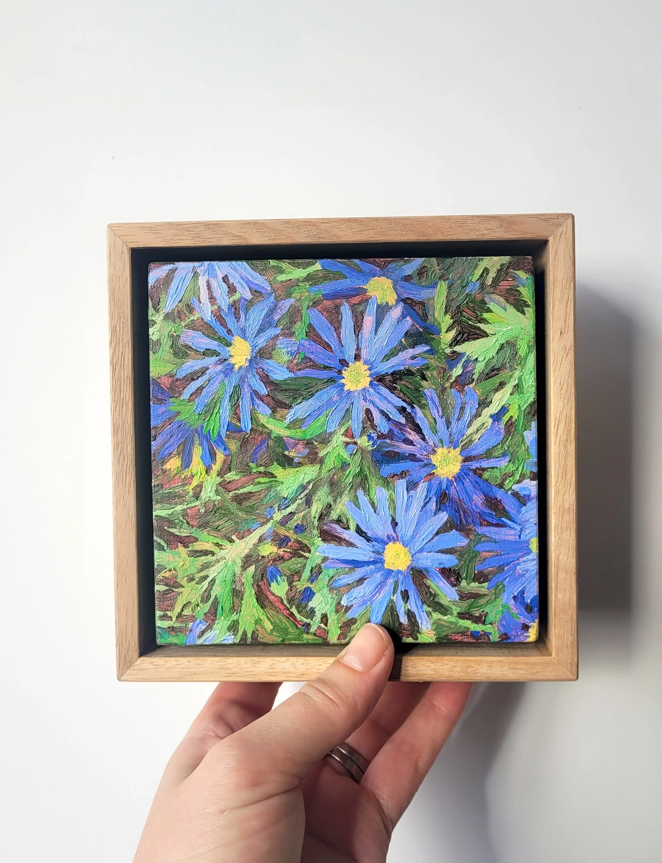 Aster Blue