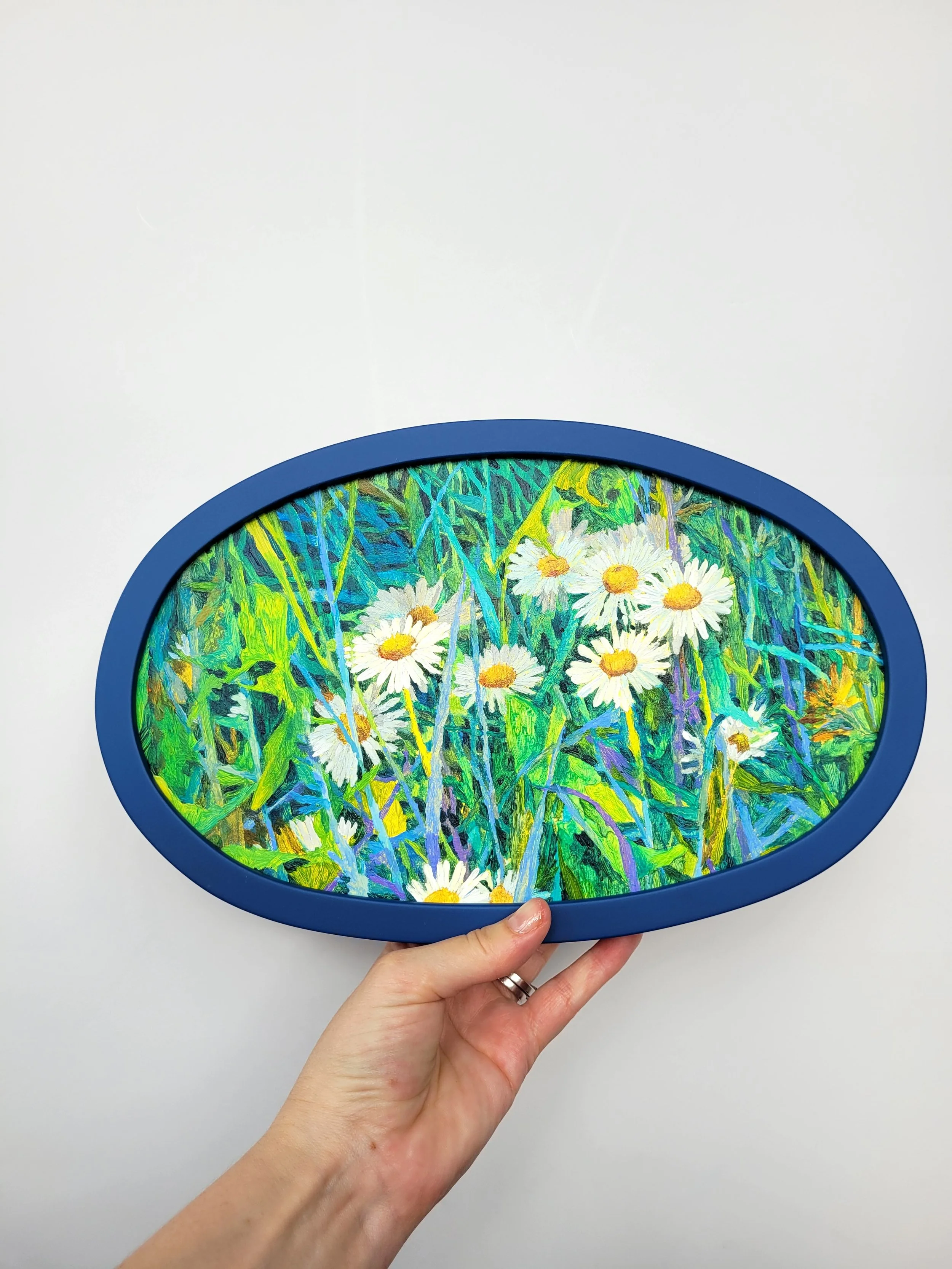 A-cluster-of-daisies04.jpg
