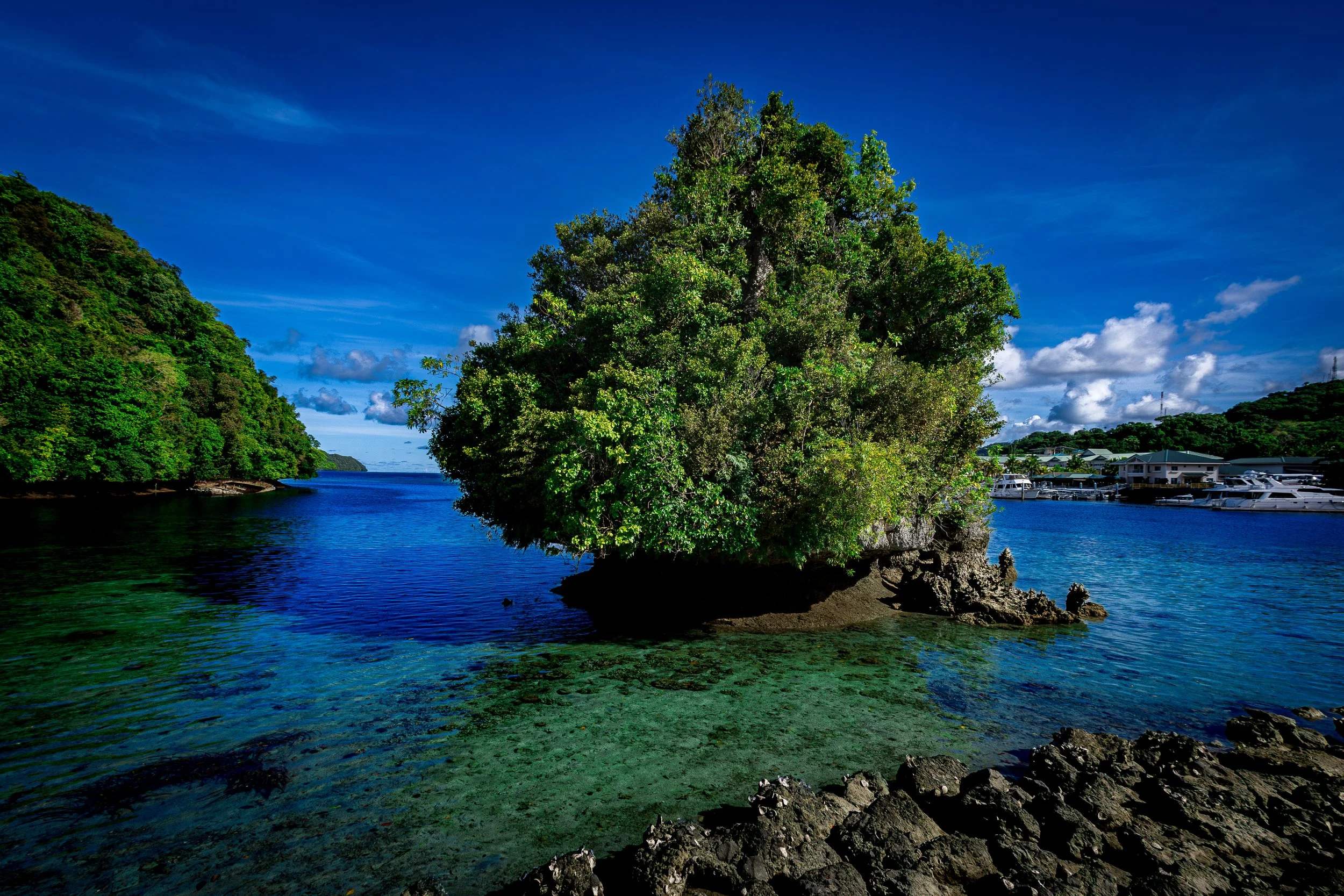 A tropical island with lush green trees surrounded by clear blue water, with a marina and boats visible in the background.
