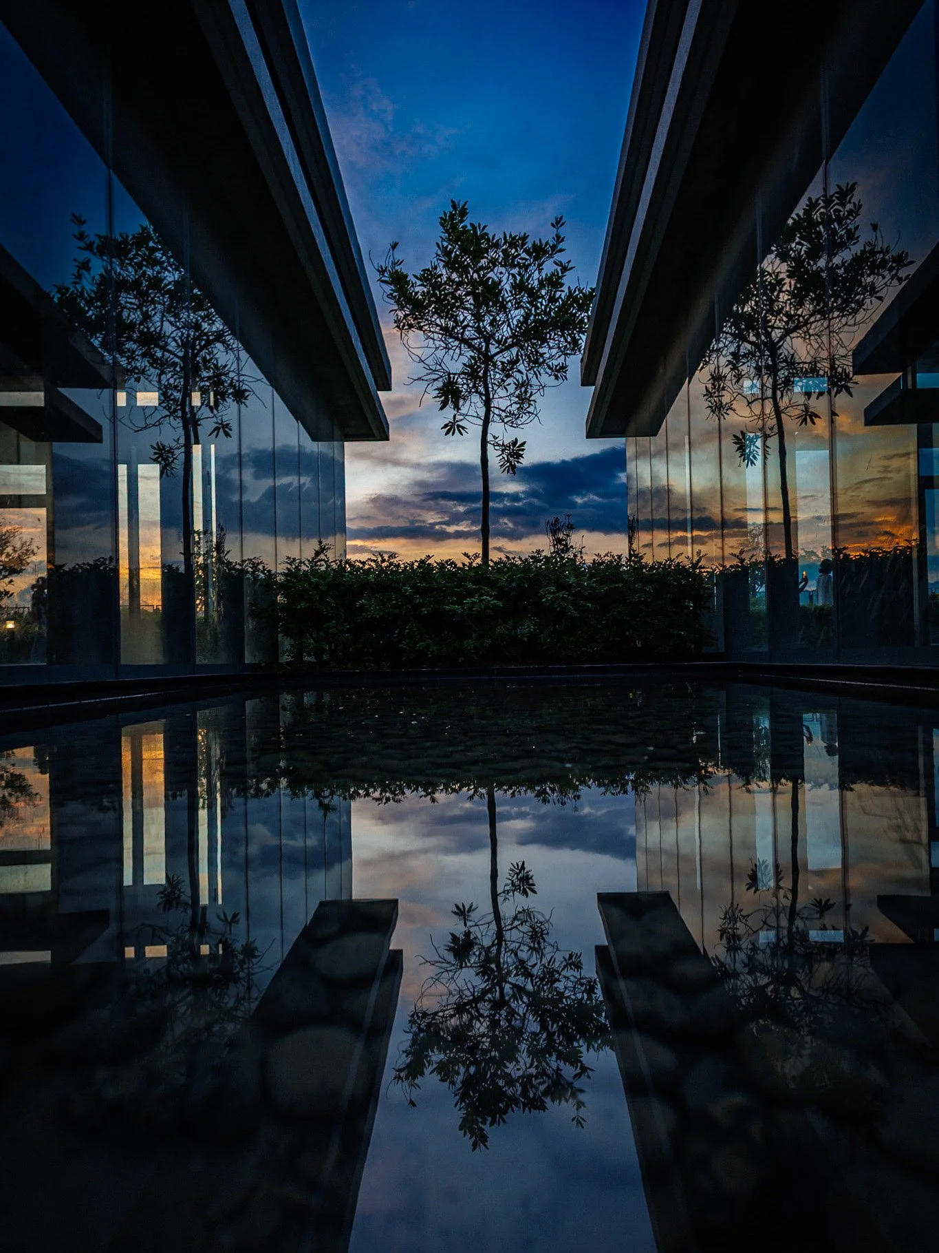 View of trees and cloudy sky at sunset seen through glass walls, with reflections on water in a modern building courtyard.