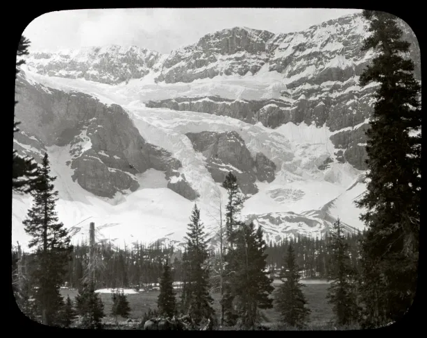   Our namesake glacier, in a time it was more indicative of its title. 1899 – [ca. 1910]. Nowadays it has just two toes, not three.    Lantern slide by Mary Schäffer. Courtesy of the Whyte Museum of the Canadian Rockies, V439 / PS – 215 V439 / PS – 2