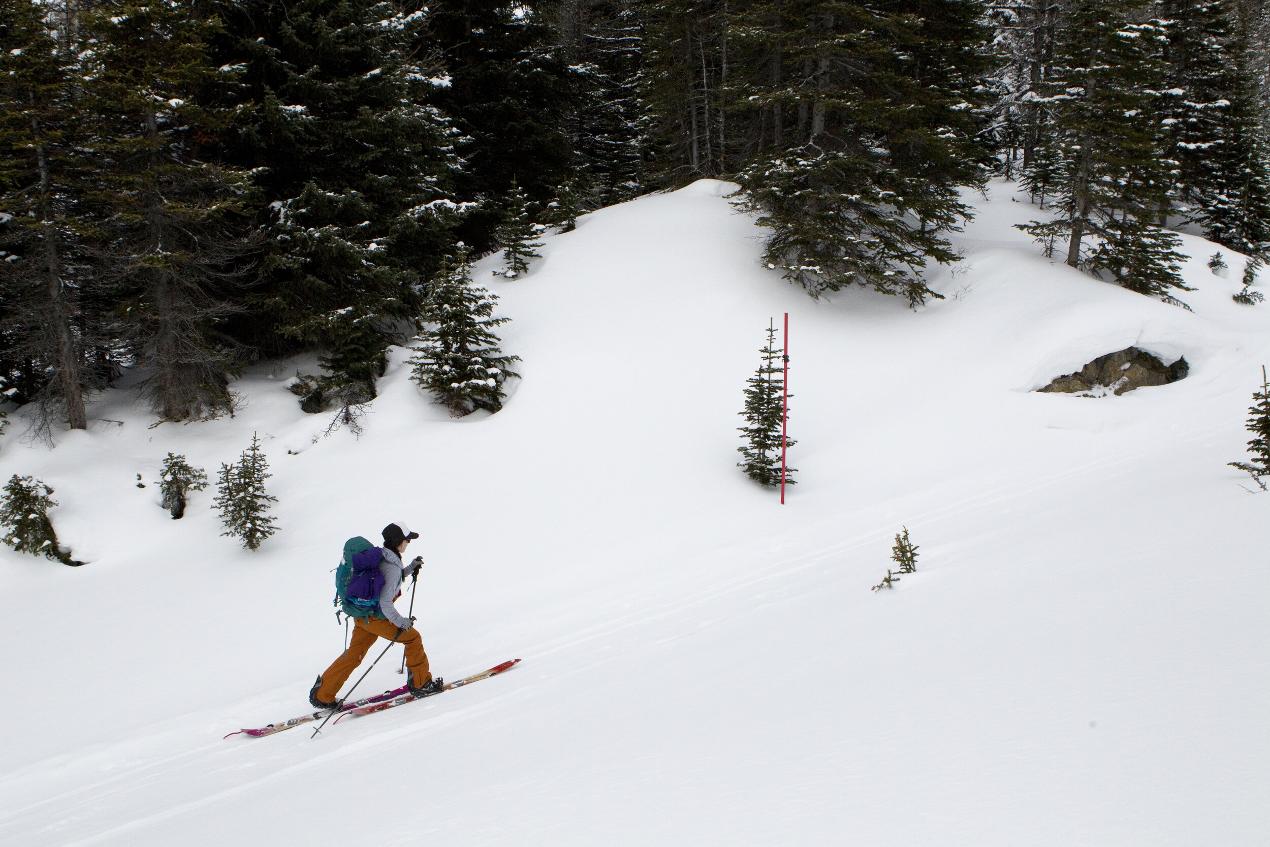  Dee skis the wanded trail through Boulder Pass. Photo by Abbydell Photography. 