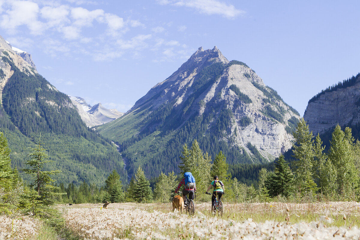  Biking to Mummery Glacier area (just left of center); right is entrance to Howse Pass. Photo by Abbydell Photography. 