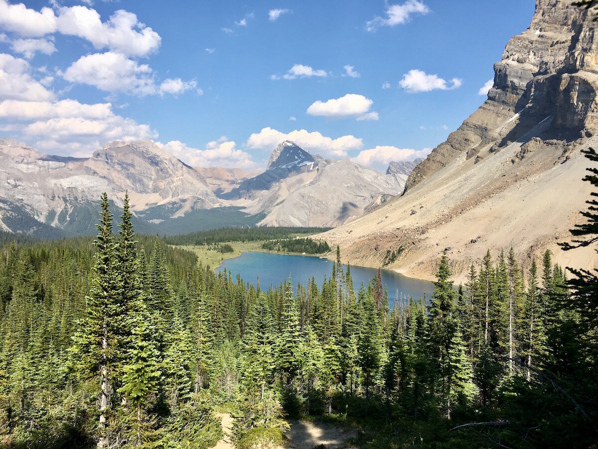  View of Upper Fish Lakes. Photo by Meghan J. Ward. 