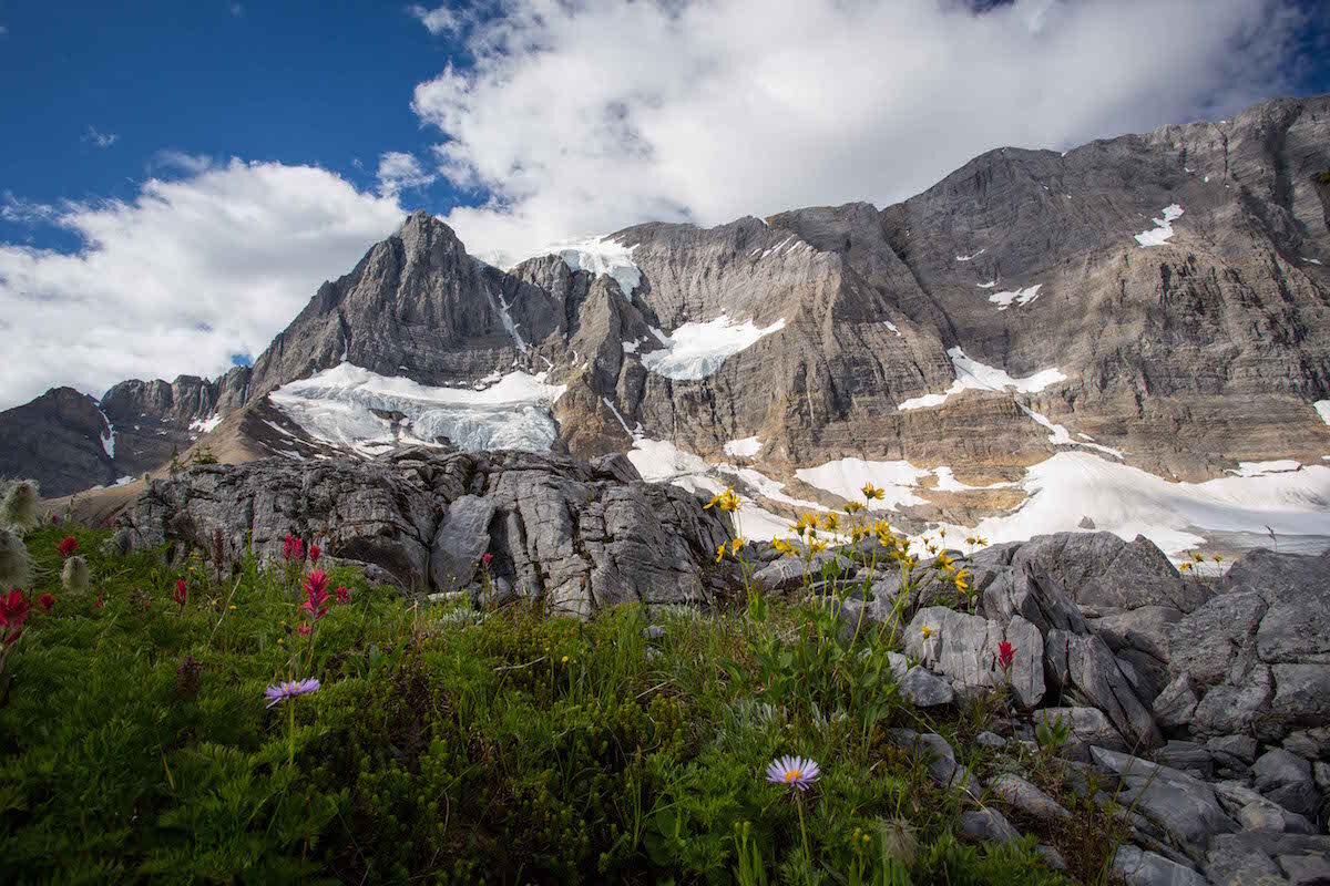  View of Tumbling Glacier with beautiful paintbrushes. Photo by Audrey Rancourt. 