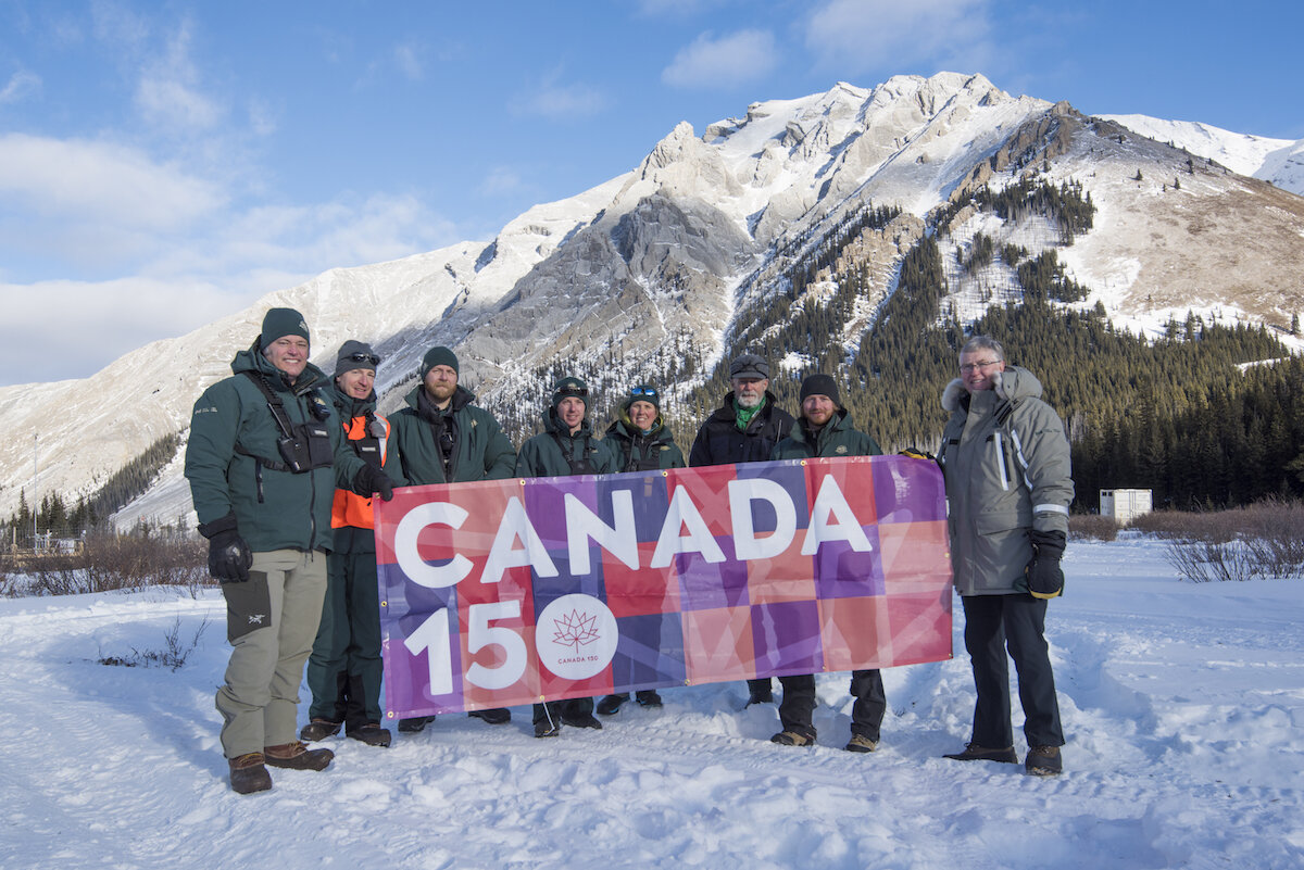  The return of wild bison to Banff National Park coincides with Canada’s 150th anniversary of confederation. Parks Canada staff celebrate this historic moment following the arrival of bison to Banff. Photo by Dan Rafla/ © Parks Canada. 