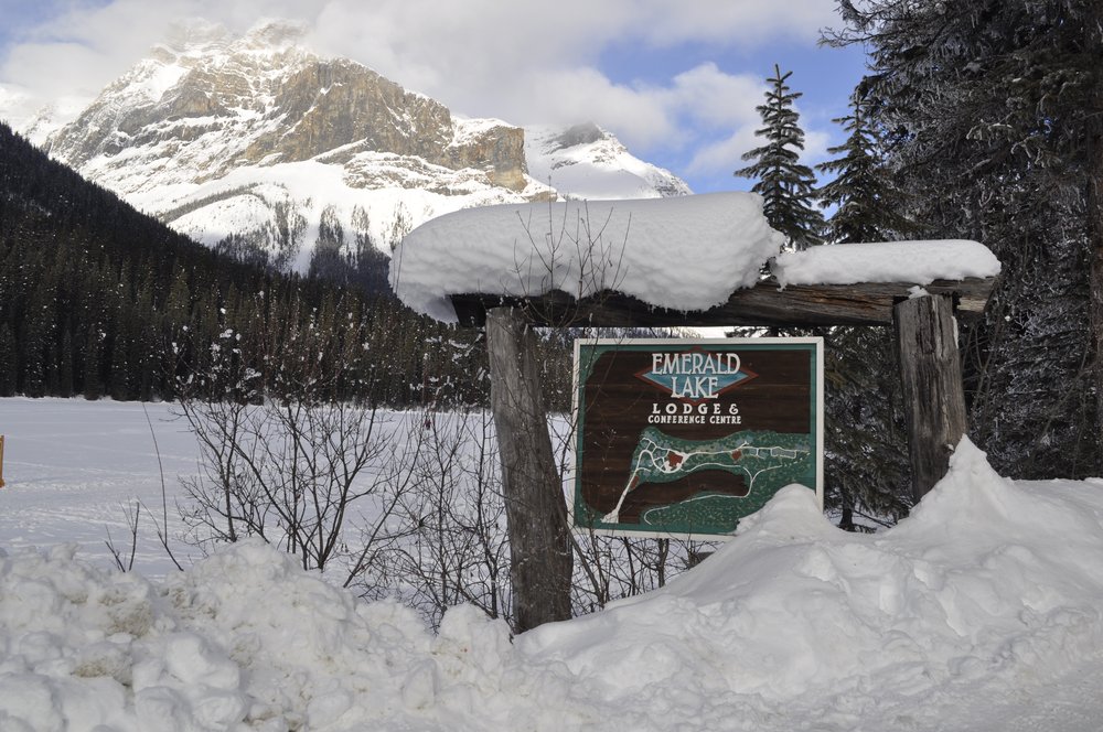  Emerald Lake Lodge. Photo by Tera Swanson 