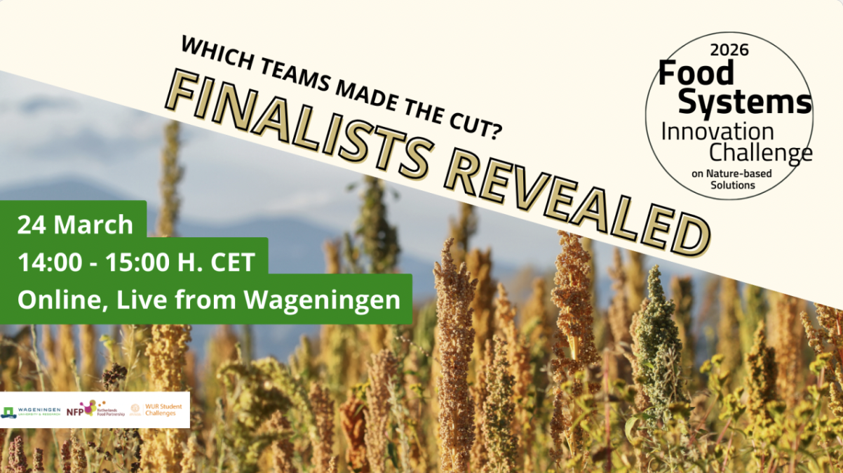 Selected Teams in the 2026 Food Systems Innovation Challenge