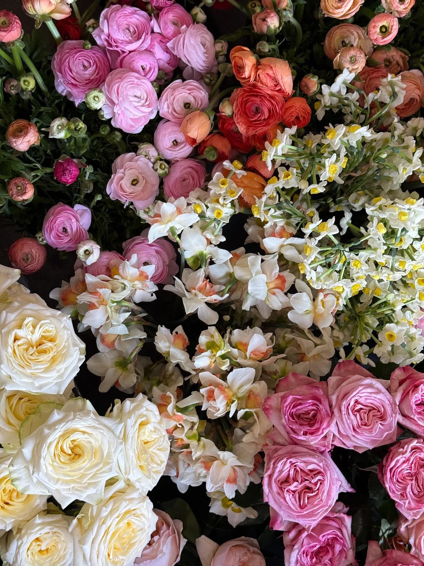 Spring has well and truly arrived! Feeling so excited to bring two spring-inspired wedding visions to life this weekend 🌸