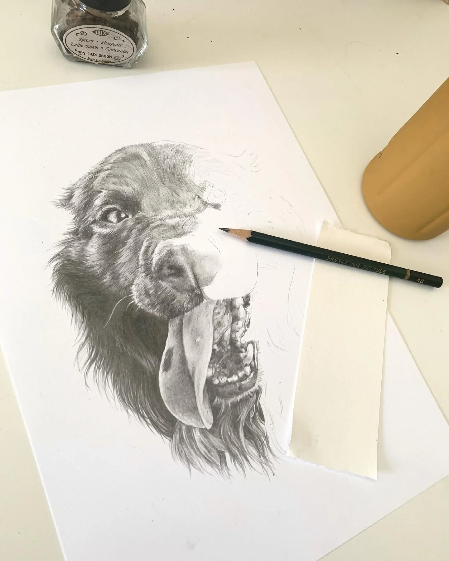Process work of Bobby!! ✨ 
 
 
 
 
 
#art #drawing #pet #petportrait #portrait #sketch #lead #pencil