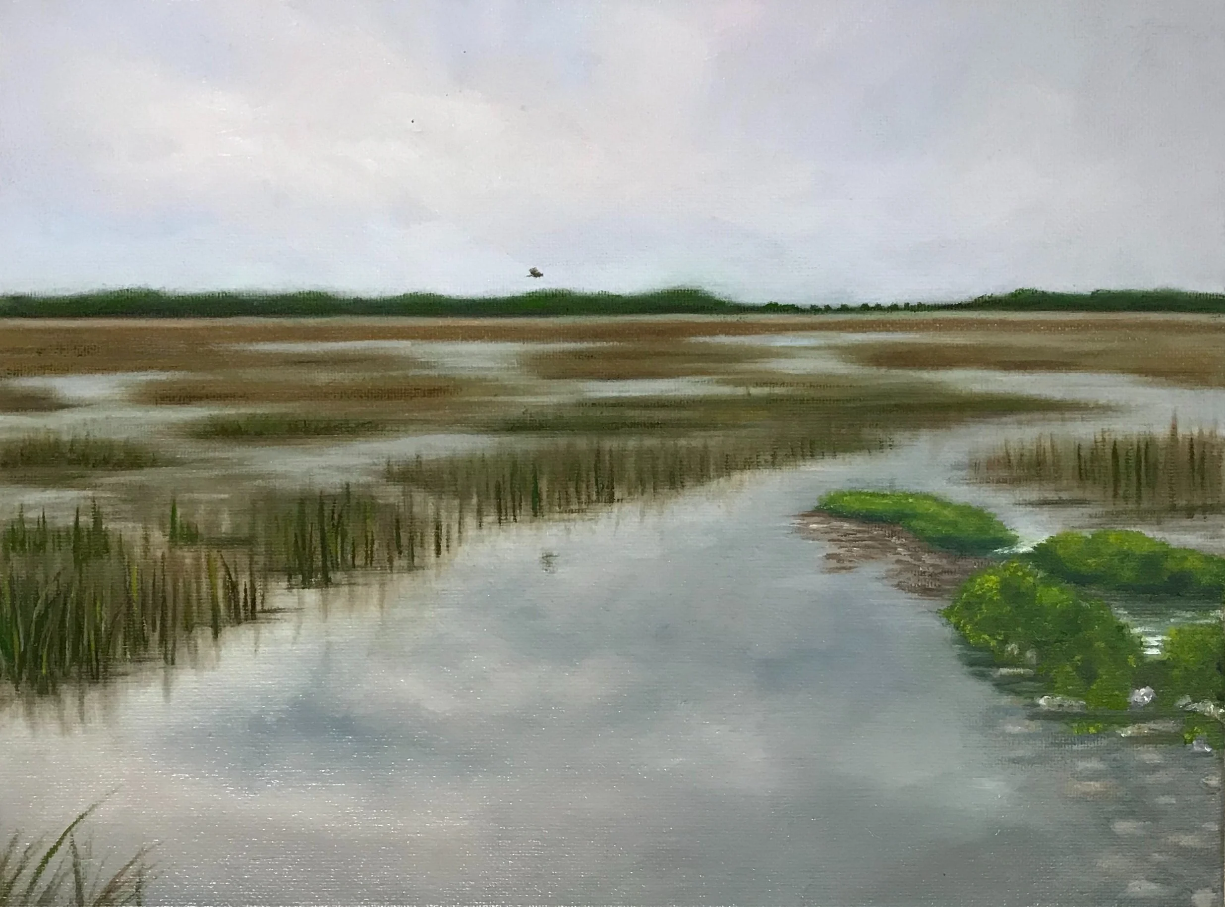 "Savannah Marsh Lands",
9"x 12",
Oil on canvas, 2020, SOLD