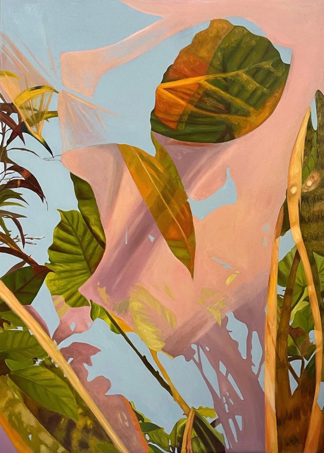 Collected, 40"x 56", Oil on cotton .jpeg