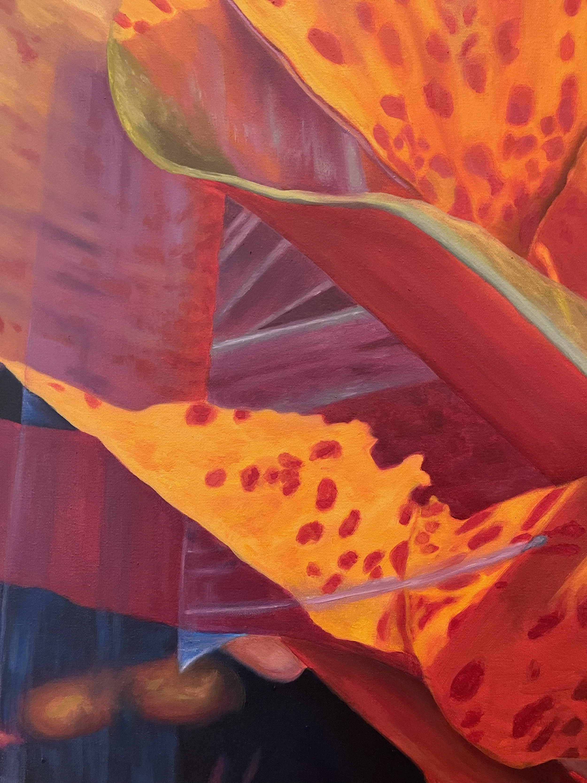 Detail shot of Canna Lily