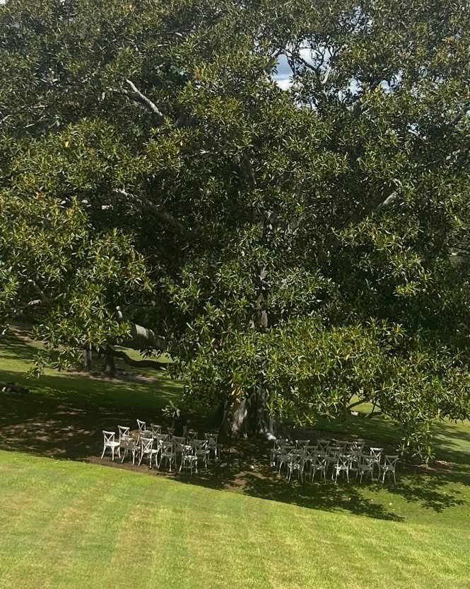 On Saturday we had the pleasure of hosting another an intimate wedding for Isaac and Simone,  under our beautiful fig tree 🌳 The weather was absolutely glorious 🌈 
Our venue is available for small, intimate weekend weddings and now we are pleased t