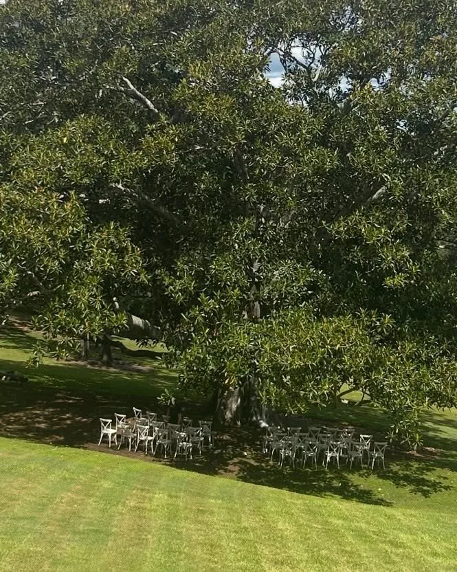 On Saturday we had the pleasure of hosting another an intimate wedding for Isaac and Simone,  under our beautiful fig tree 🌳 The weather was absolutely glorious 🌈 
Our venue is available for small, intimate weekend weddings and now we are pleased t