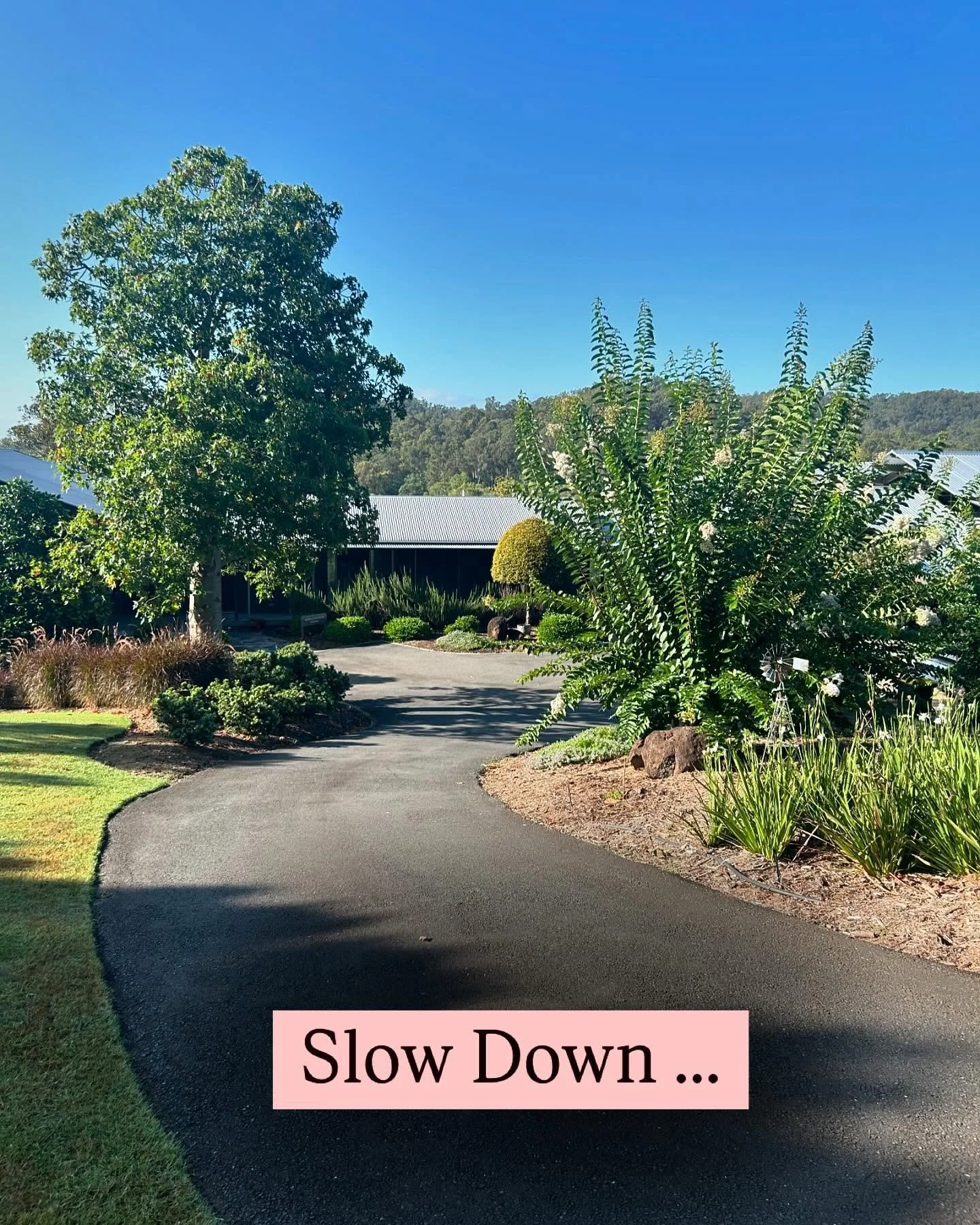 Happy New Year🎉 we look forward to hosting many more classes, workshops, retreats and events in 2025! 🙏