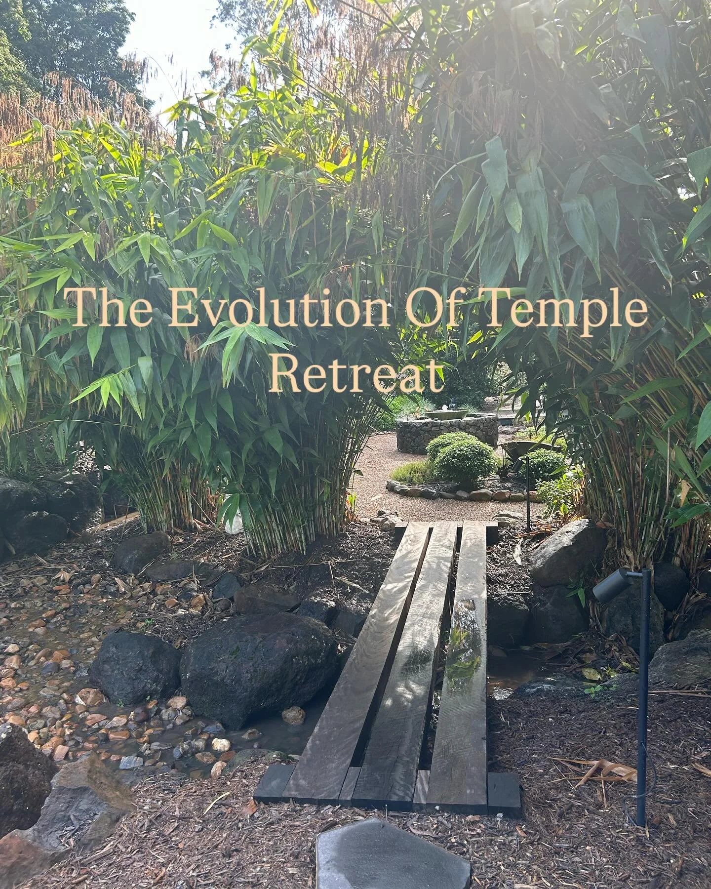 Five years ago, we took stewardship of this beautiful land - the land of the Turbal people- which was a leap of faith into the unknown. It was an almost-finished project that needed some love and care. The yard was overgrown with lantana and needed m