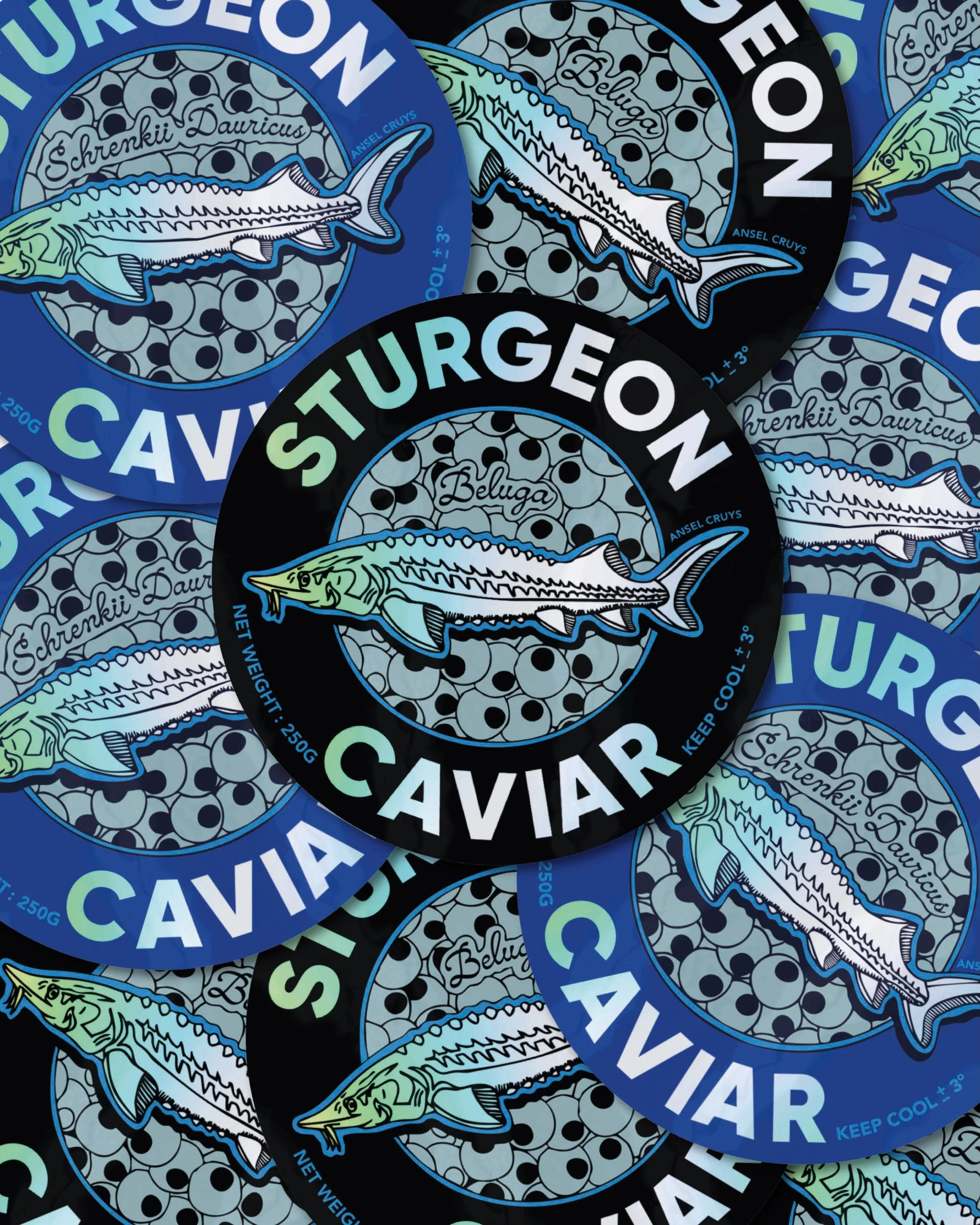 ✨🐟🖤 Caviar box design stickers for a family-owned company. Featuring hand-drawn sturgeon and caviar egg details, with some holographic finish 🐟🖤✨ @marie_ansel @jon.cruys 
&bull;
&bull;
&bull;
&bull;
#caviar #stickerapp #stickerdesign #packagingst