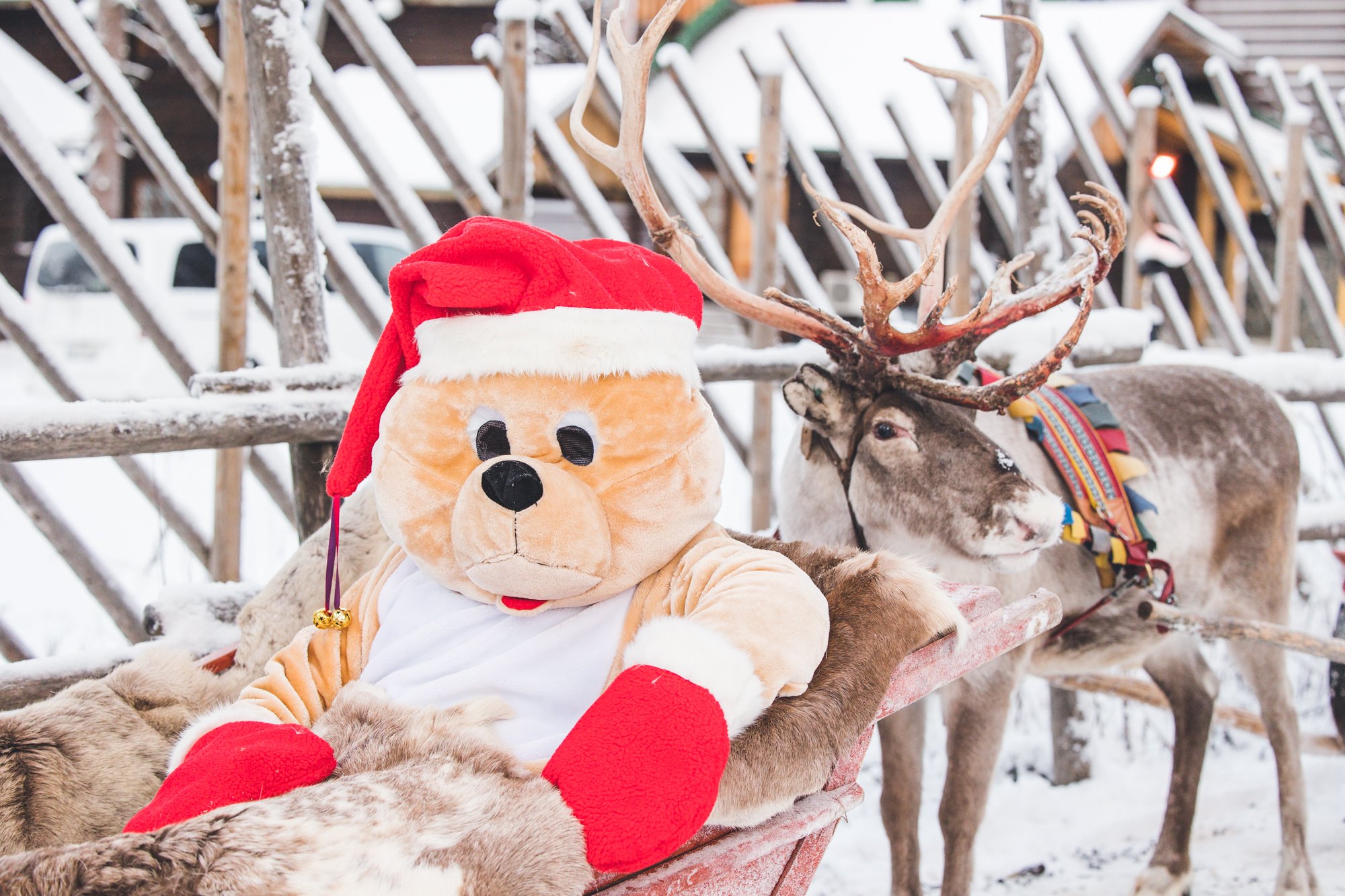 Elonallen seikkailu-09 (1).jpg