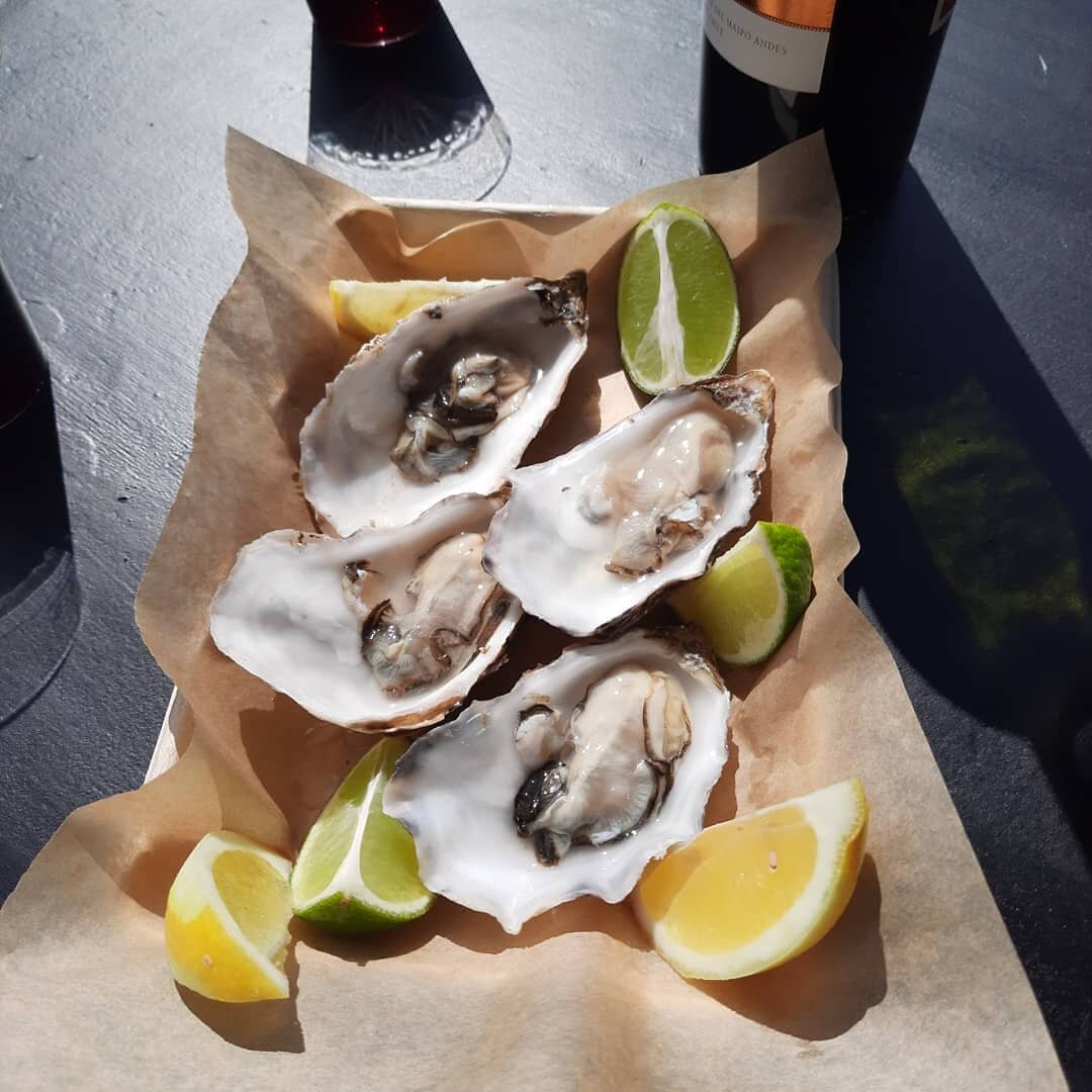 Today is World Oceans day! Copenhagen harbor is so clean you can swim in it, but we can also grow &quot;bivalve&quot; seafood. Mussels and oysters thrive in our inner harbor. @havh&oslash;st Ocean Harvest grow these protein rich beauties. #danishseaf