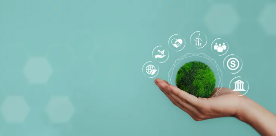 The social impact of technology