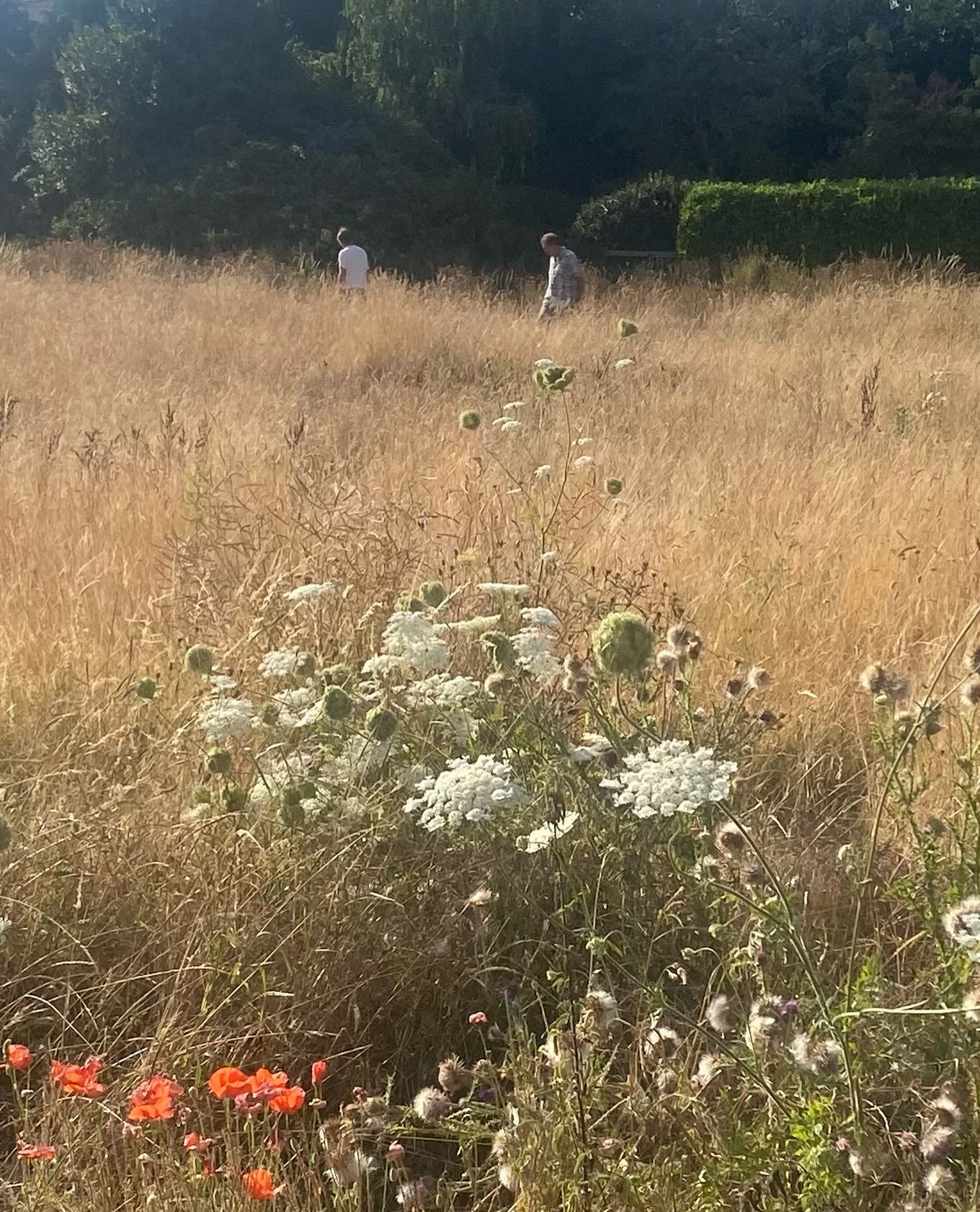 A weekend with good friends ❤️ inspiration for a painting