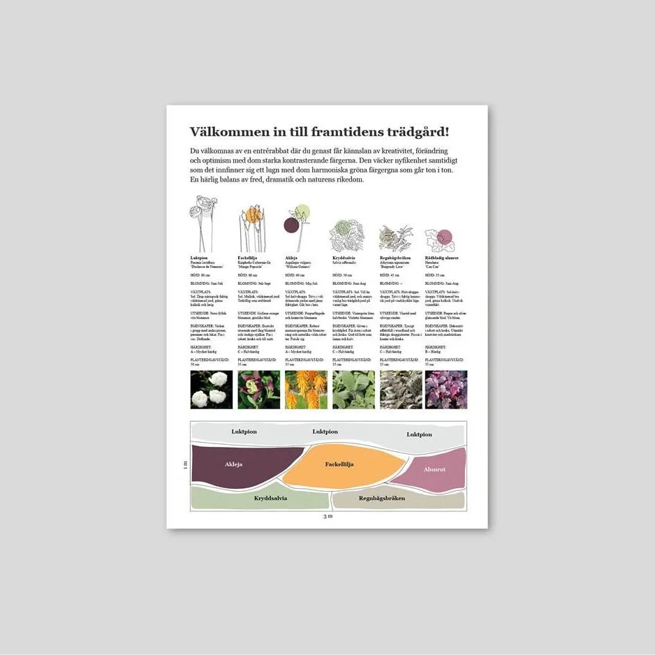 Trädgårdsdesign - Rabattdesign