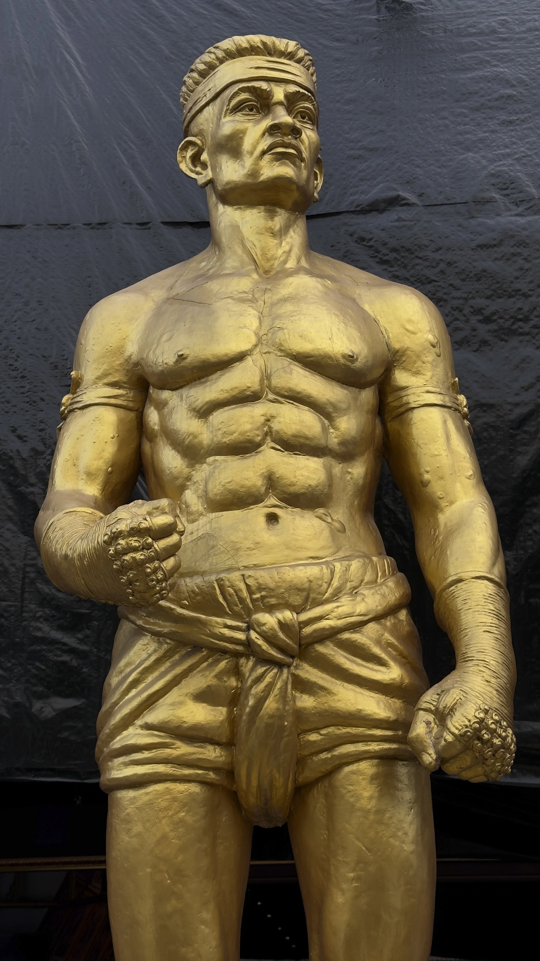 Thai fighter