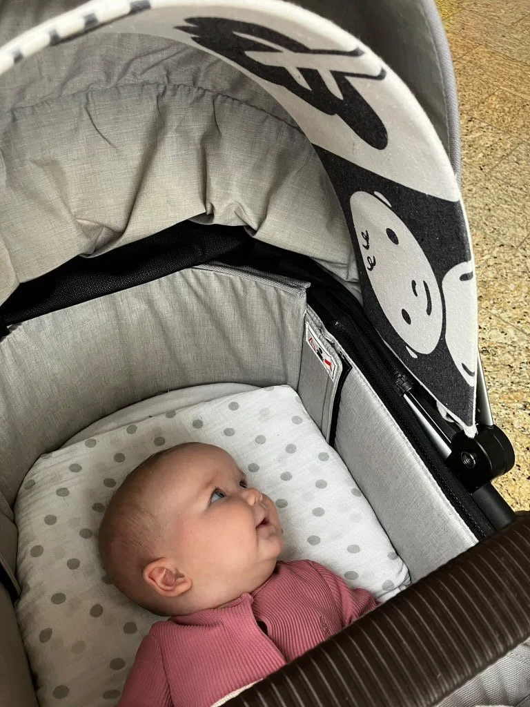 2A2449F8-CD35-4DAD-A652-4DED94394DB9.JPG