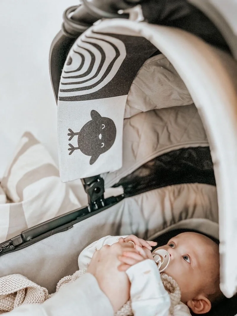 Baby in pram with The Gallery