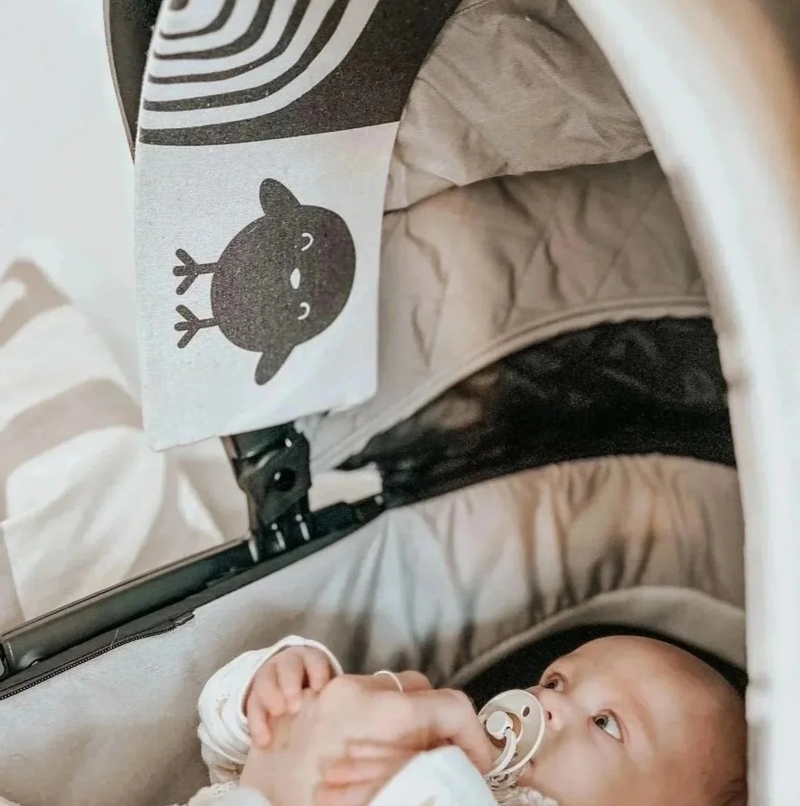 Baby in pram with The Gallery