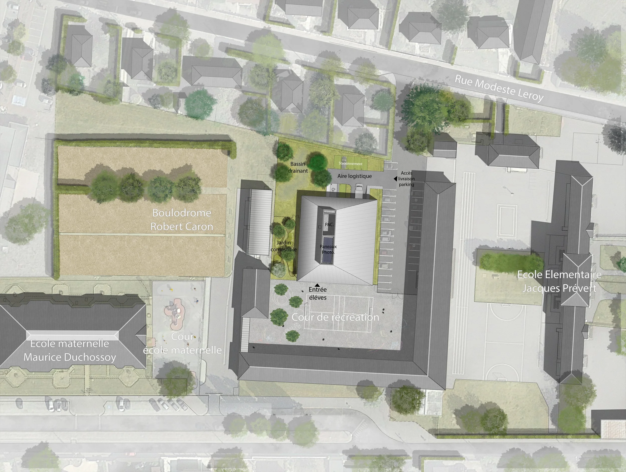 Plan masse 1-500 + arbres.jpg