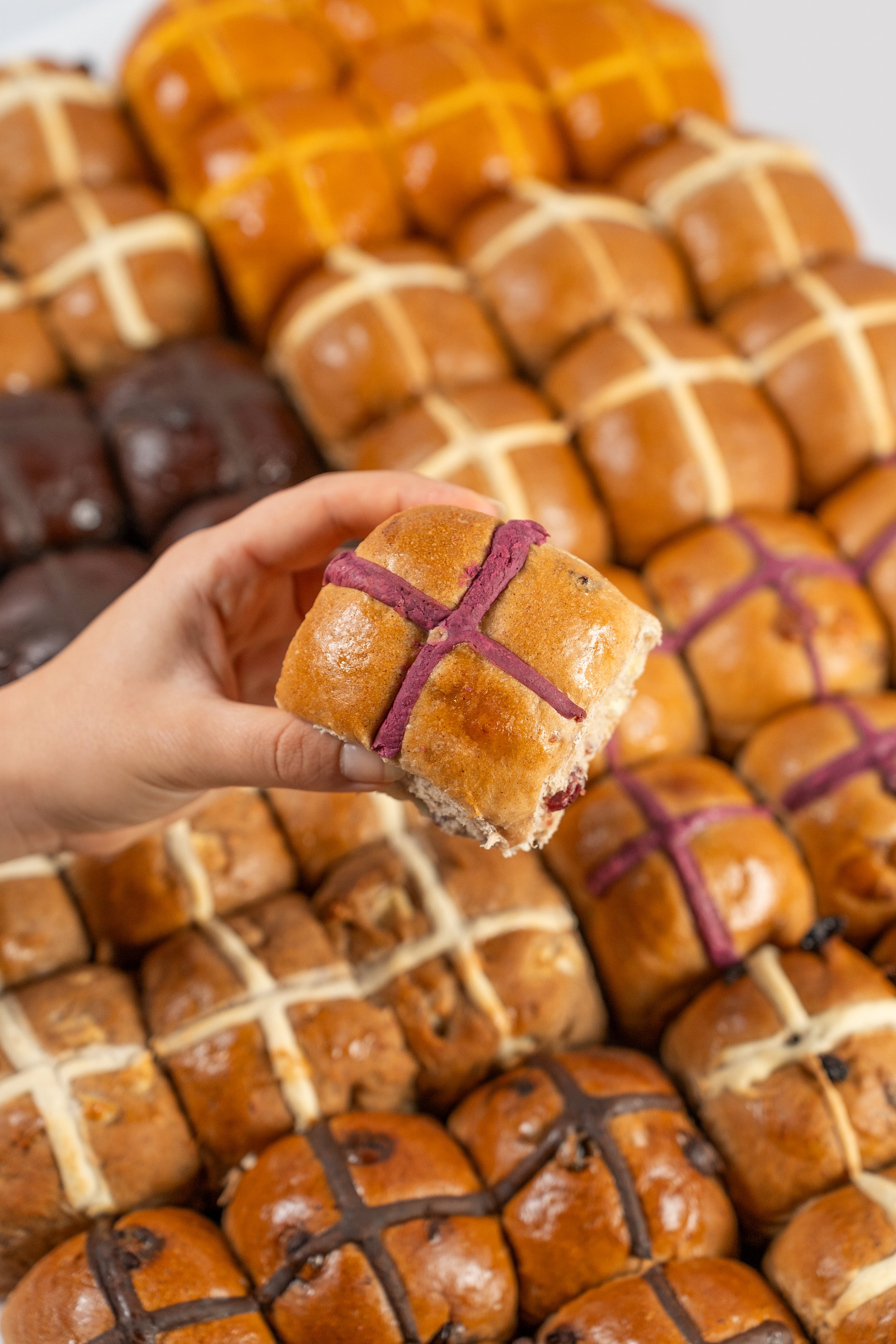 HotCrossBunPhotos-17.jpg