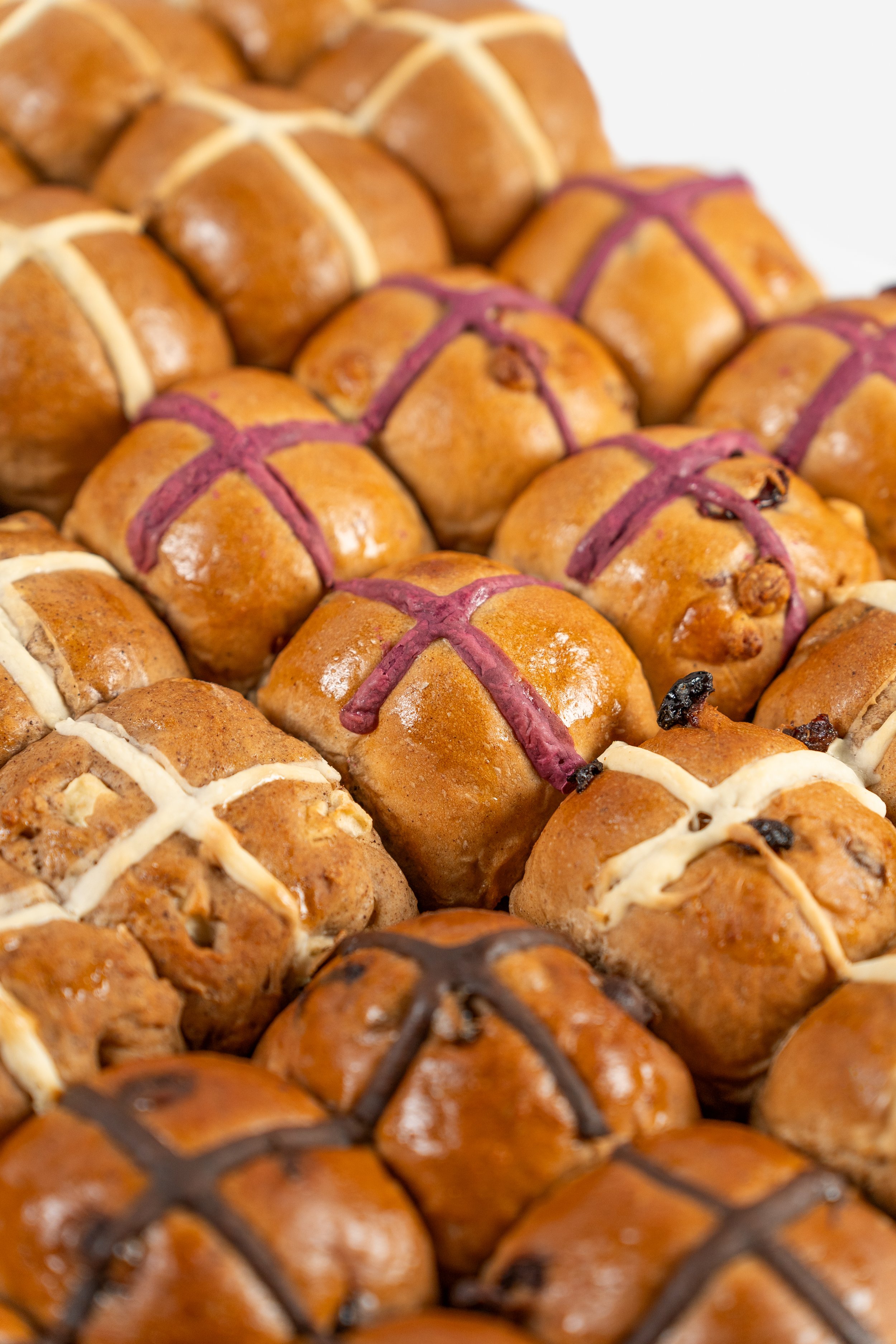 HotCrossBunPhotos-14.jpg