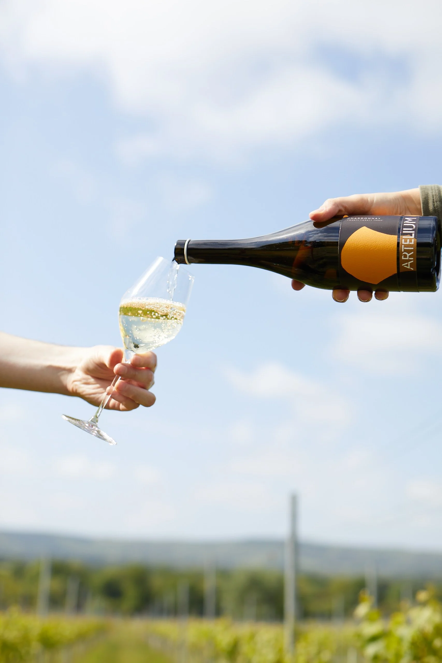 Artelium chardonnay poured in front of vineyard and blue sky 