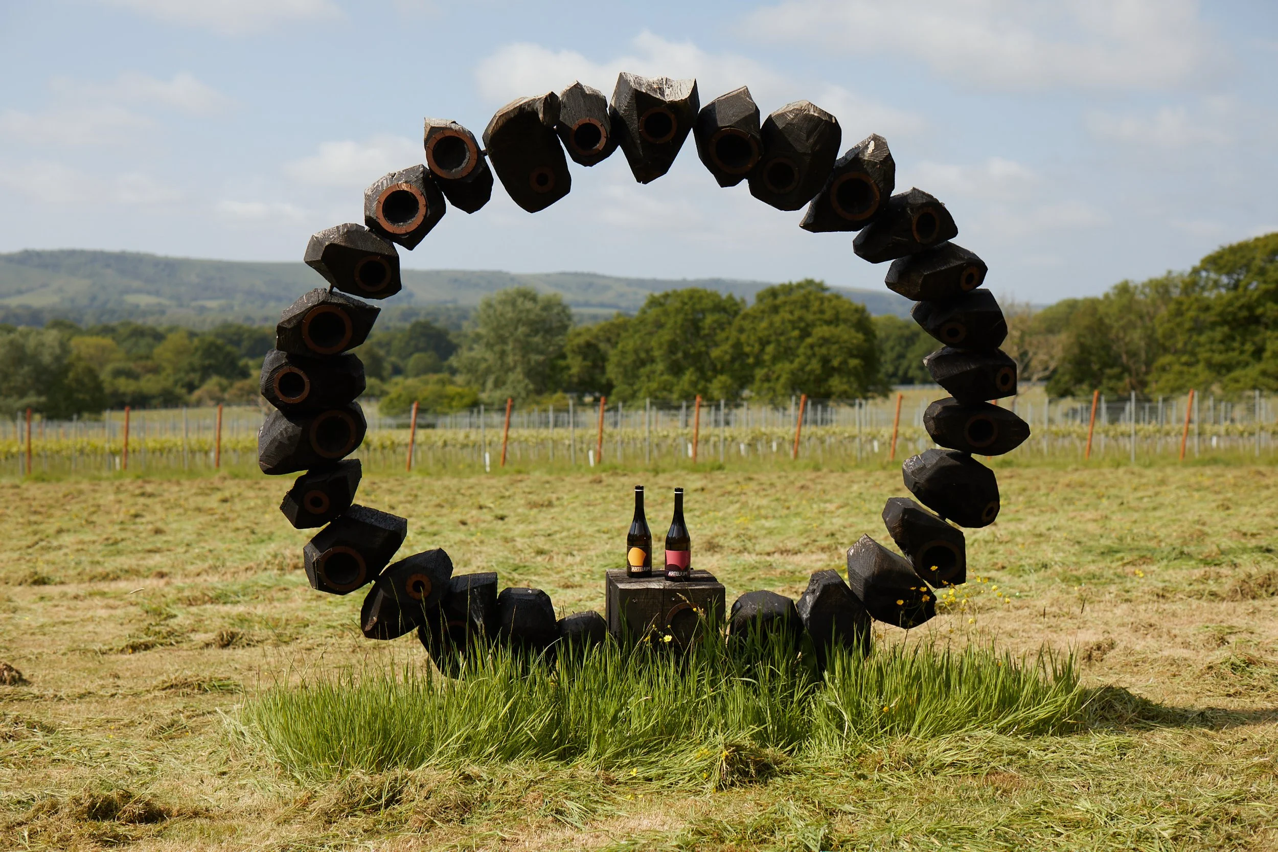 Artelium English chardonnay and pinot noir balanced at the base of large circular wooden sculpture, made by Walter Bailey, with vines and South Downs in background 