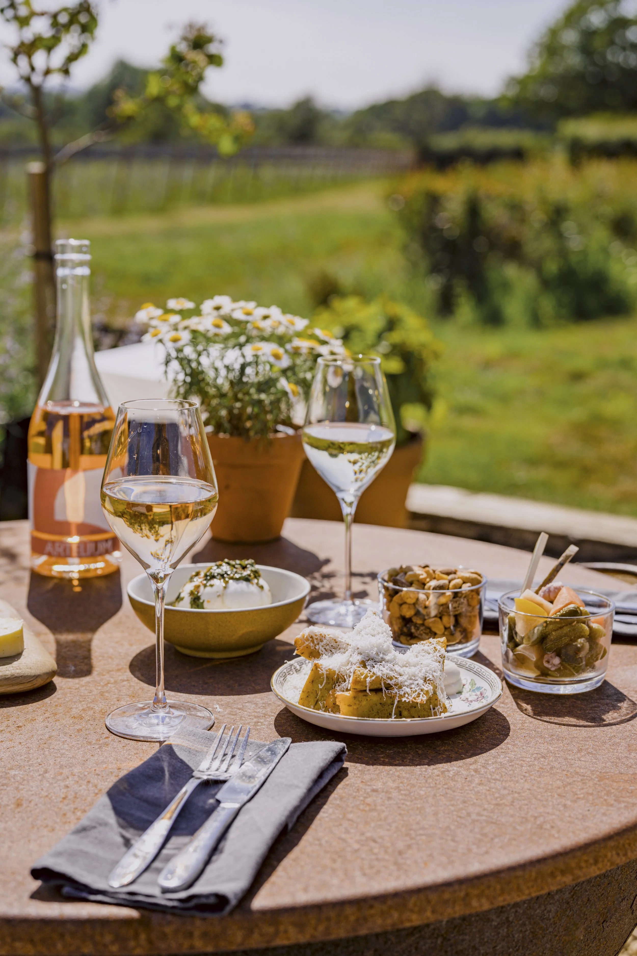 Artelium rosé and snacks on the terrace 