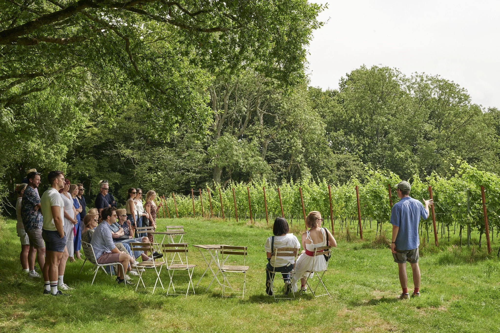 Things to Do in Sussex This Easter (2026 Guide)