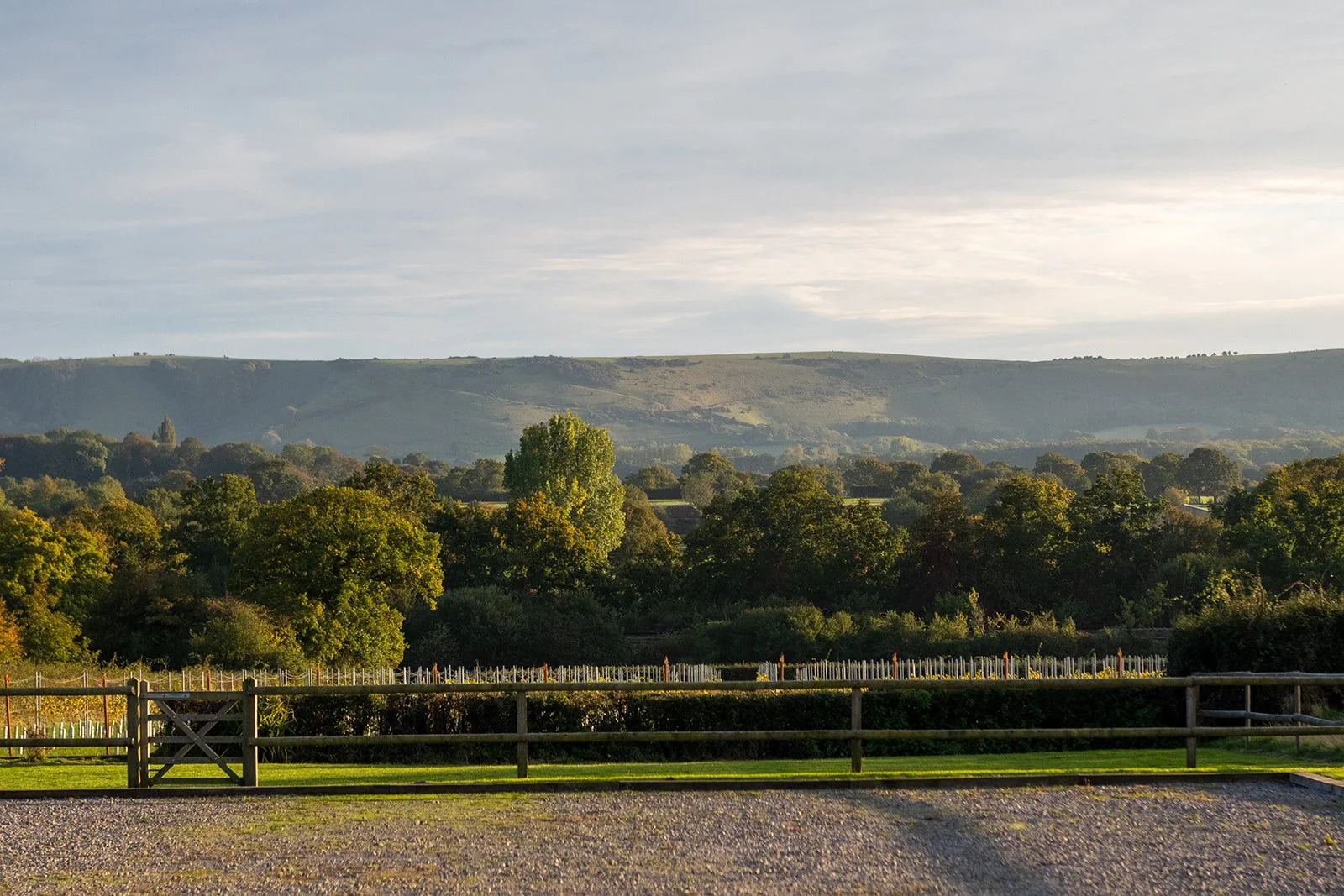 5 Springtime Walks in Sussex