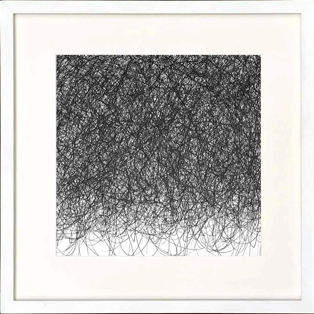 Judith Alder, Entangled Life: Small Field